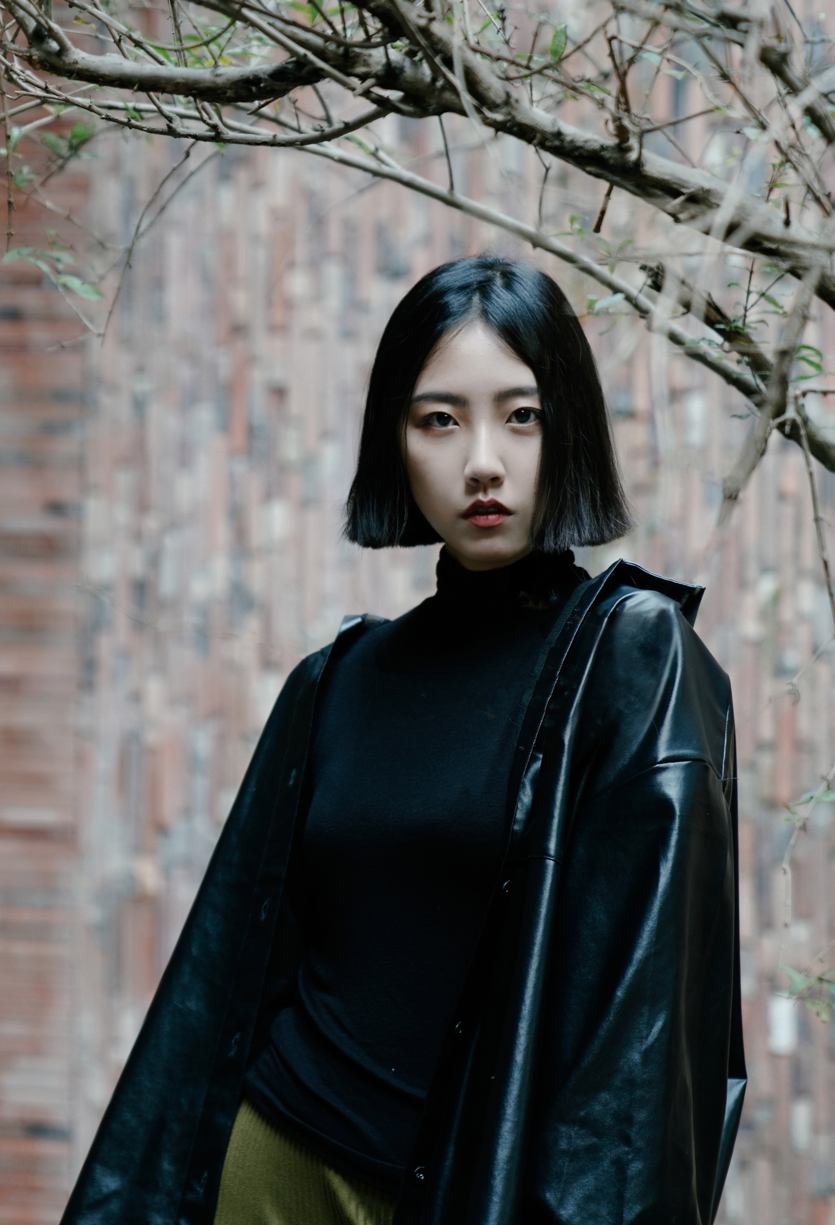 Portrait of Fan Ji