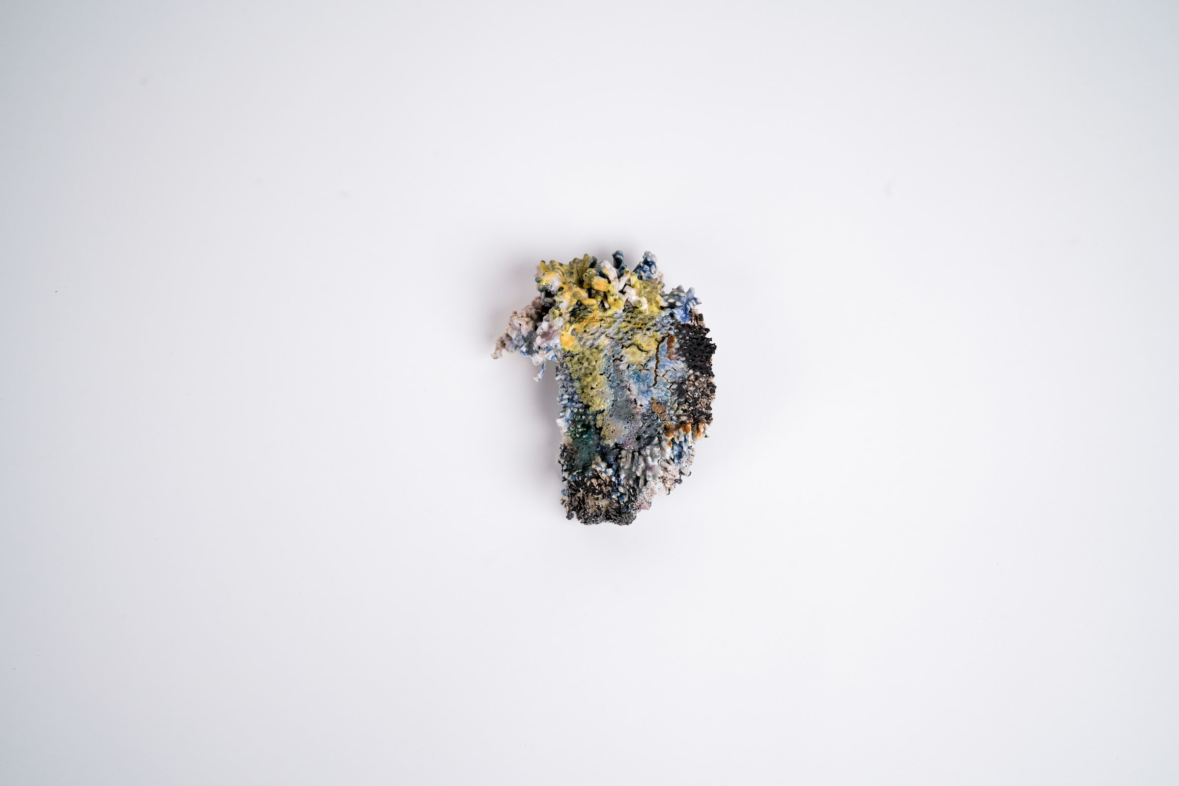 Earth Nidus Fragments, detail 1