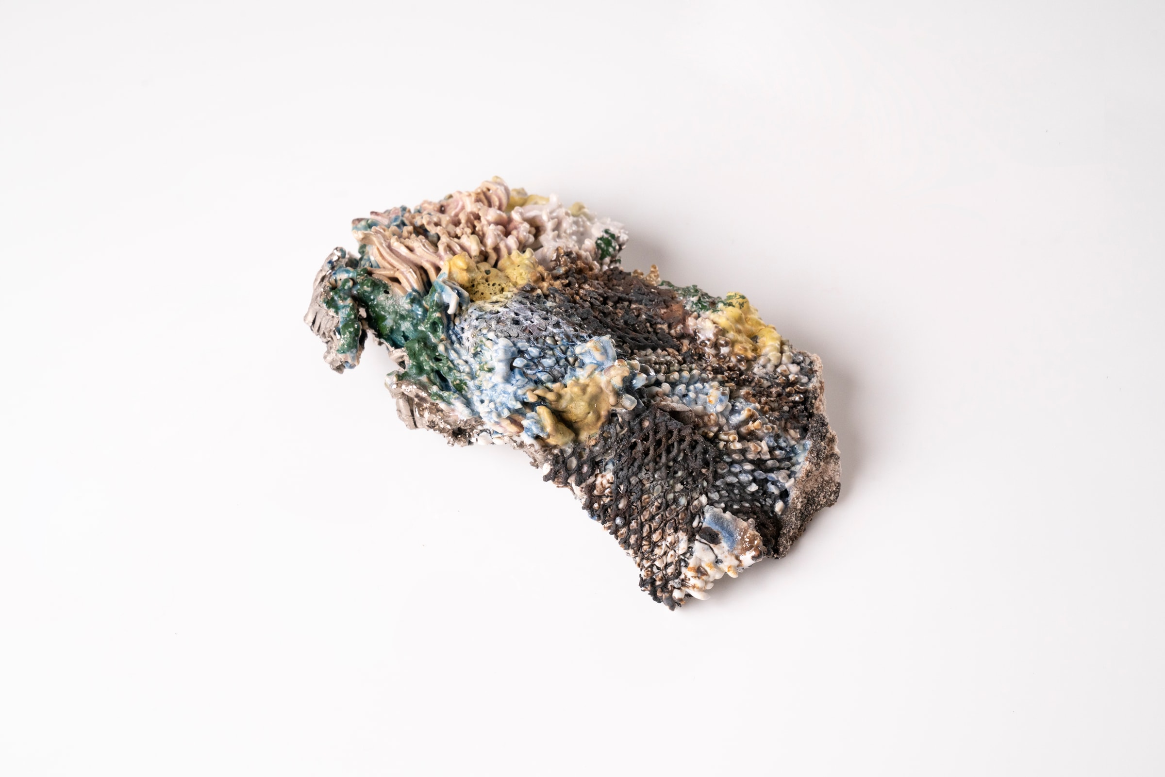 Earth Nidus Fragments, detail 3