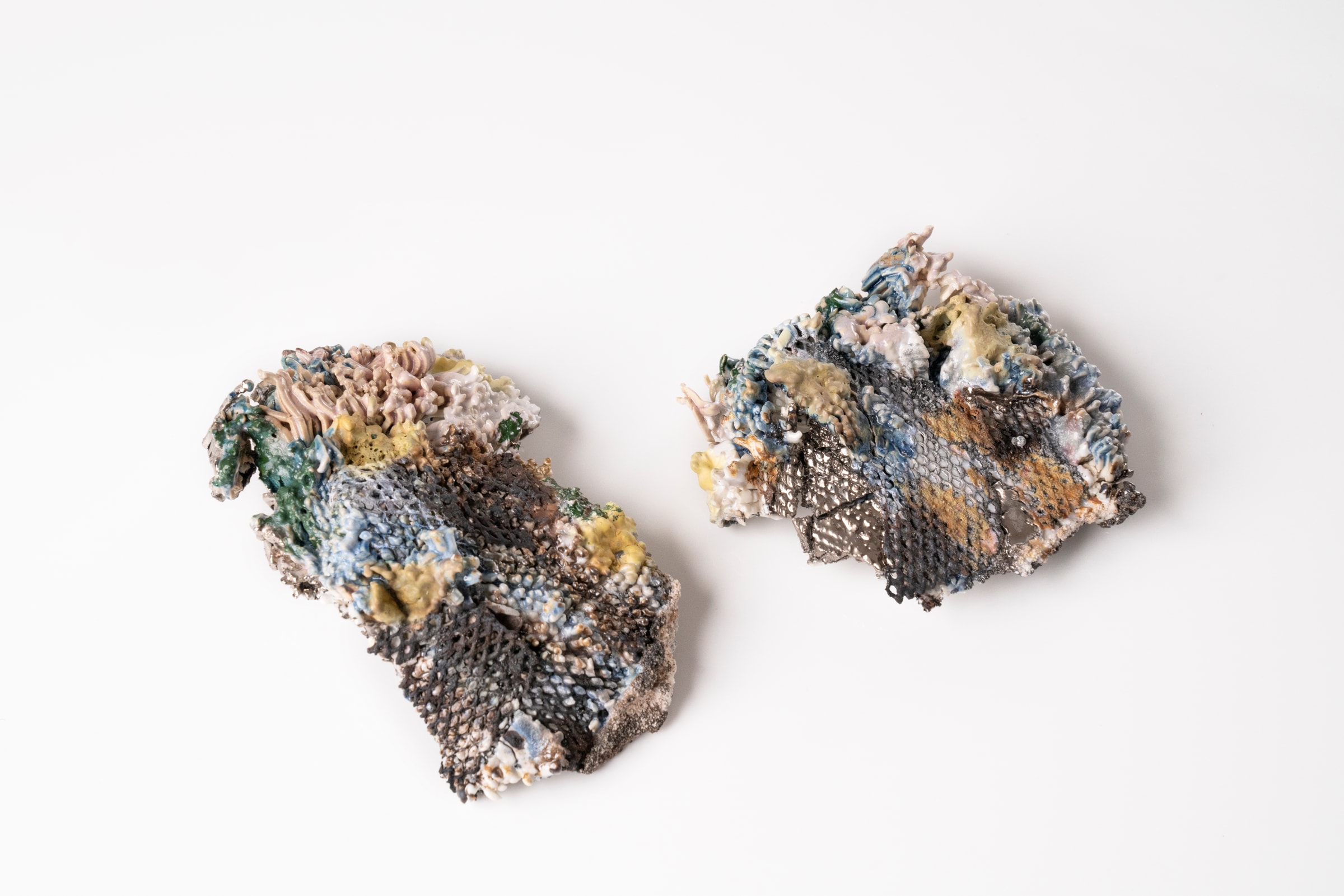 Earth Nidus Fragments, detail 4