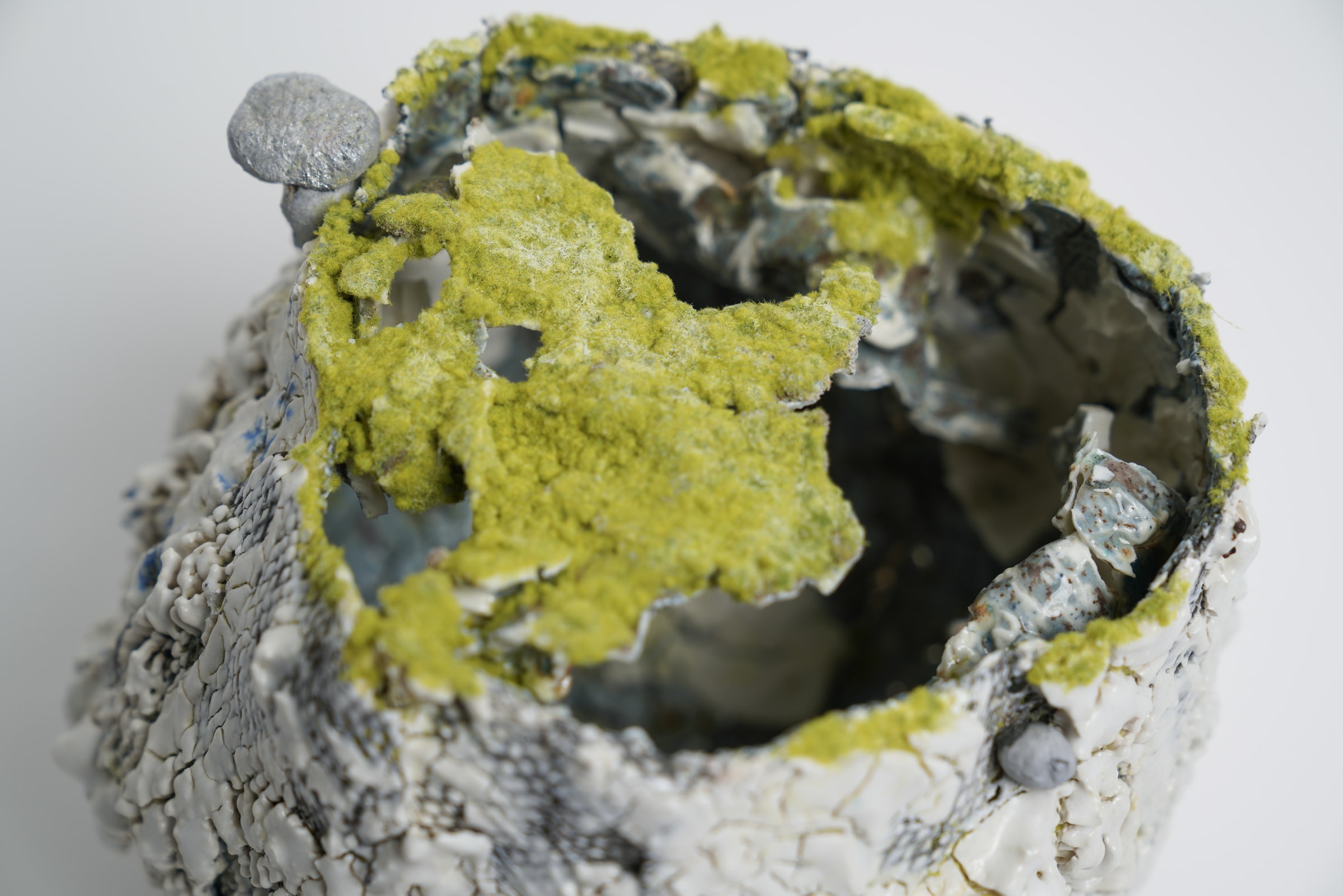 Earth Nidus Parallel World, detail 1