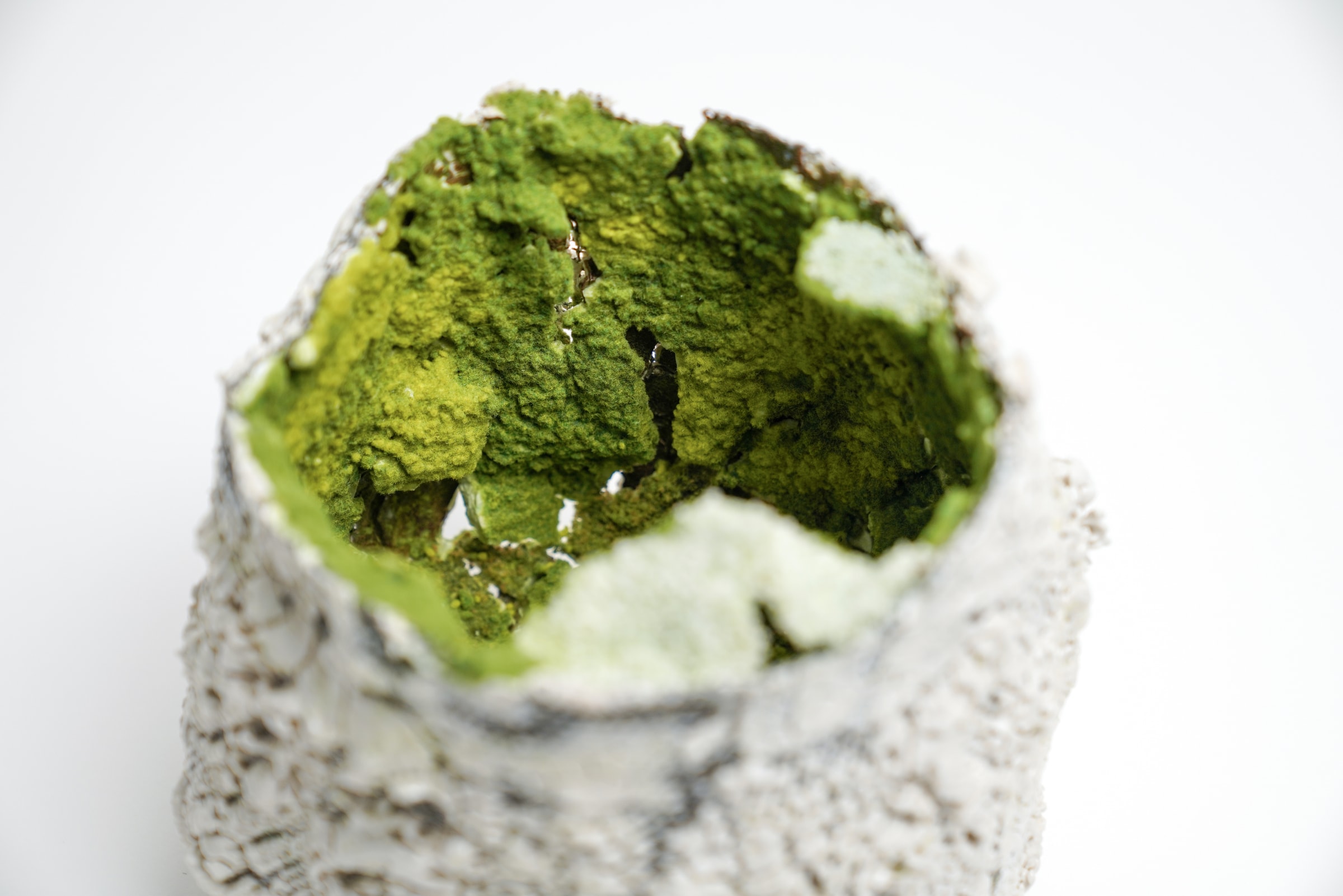 Earth Nidus Parallel World, detail 3