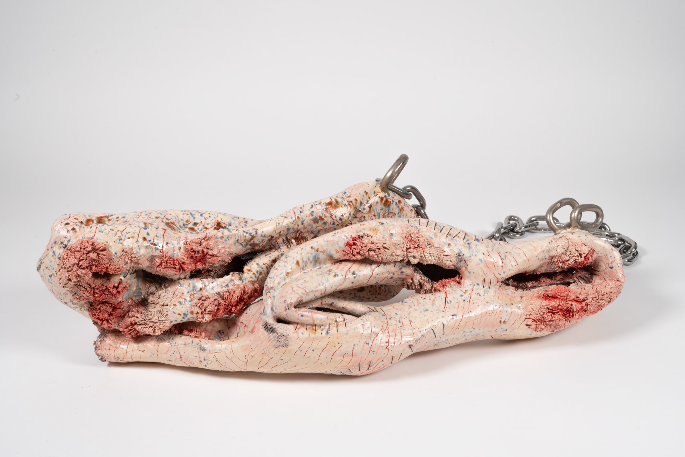 Parasoma, detail 1