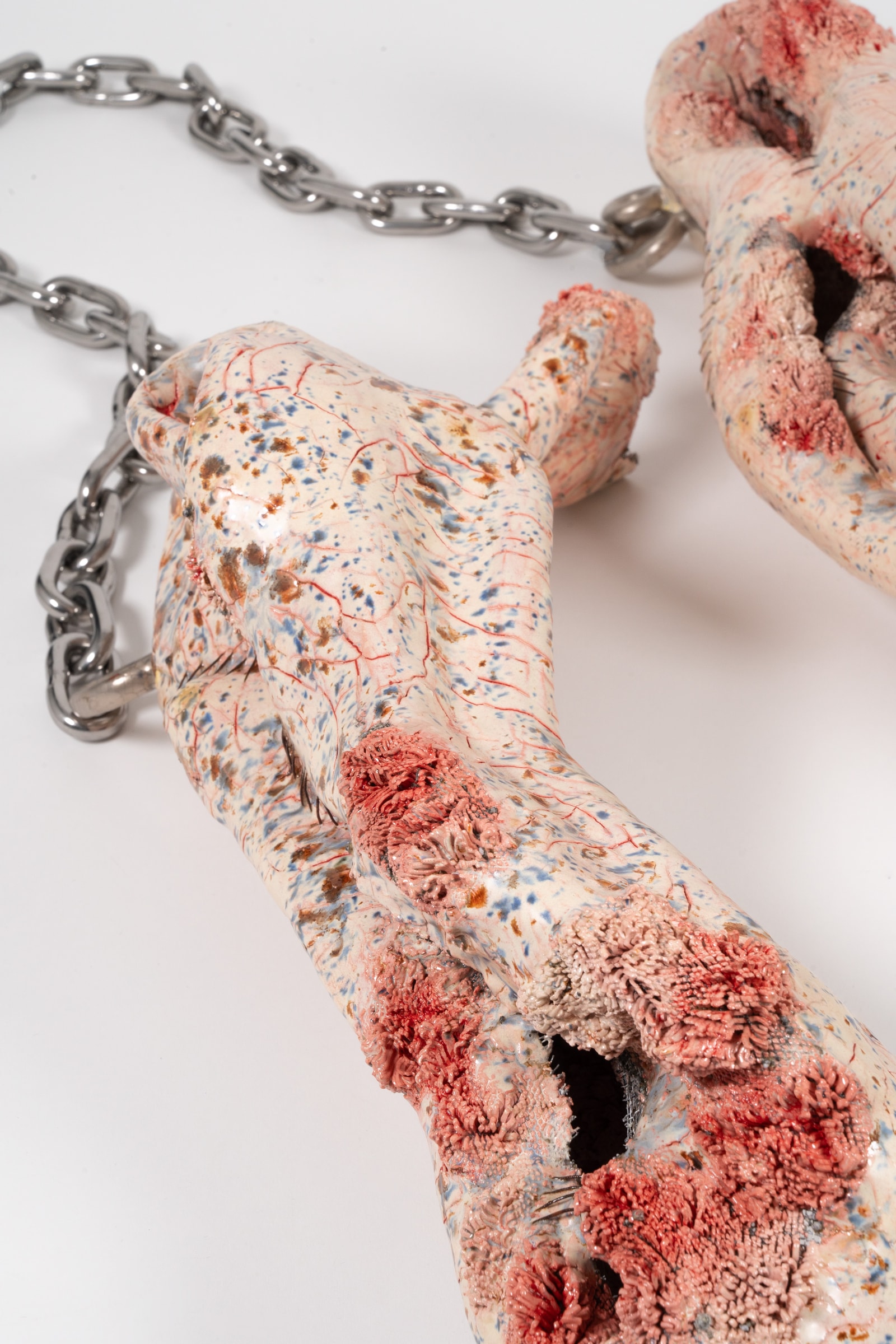 Parasoma, detail 2