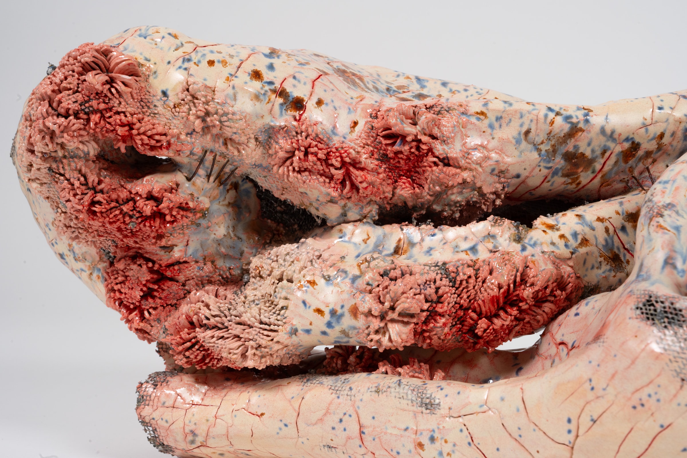 Parasoma, detail 3